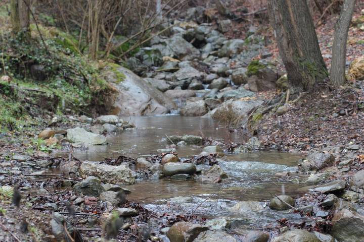 Forest-Stream- Running-Water-Sound