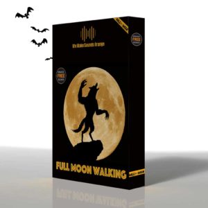 Full Moon Walking | Orange Free Sounds